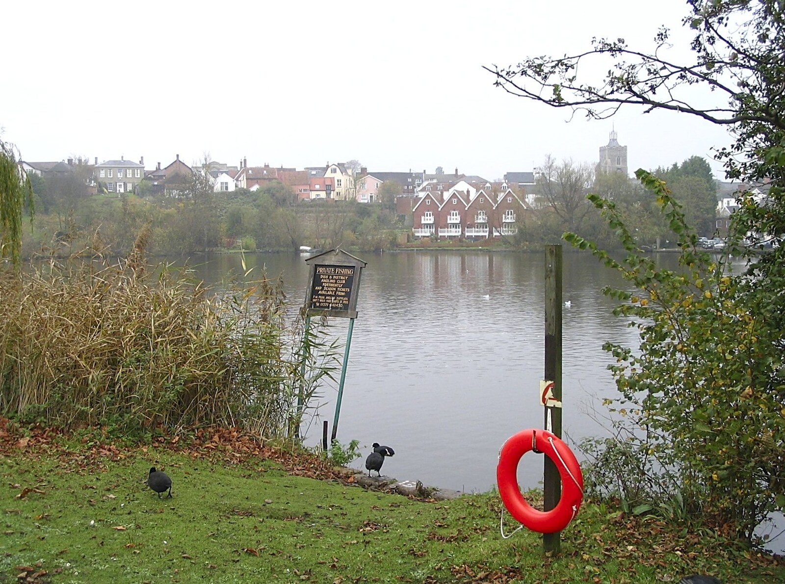 A misty Mere from Feeding the Ducks: a Diss and Norwich Miscellany - 7th November 2004