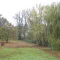 Diss park, Feeding the Ducks, a Diss and Norwich Miscellany - 7th November 2004