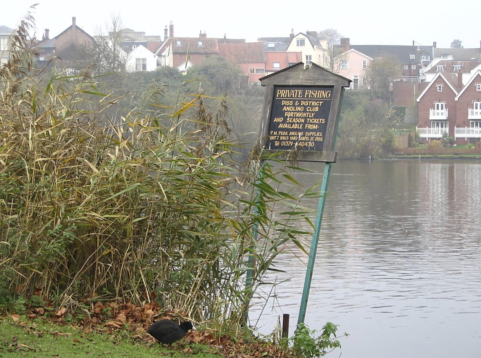 Private fishing sign from Feeding the Ducks: a Diss and Norwich Miscellany - 7th November 2004