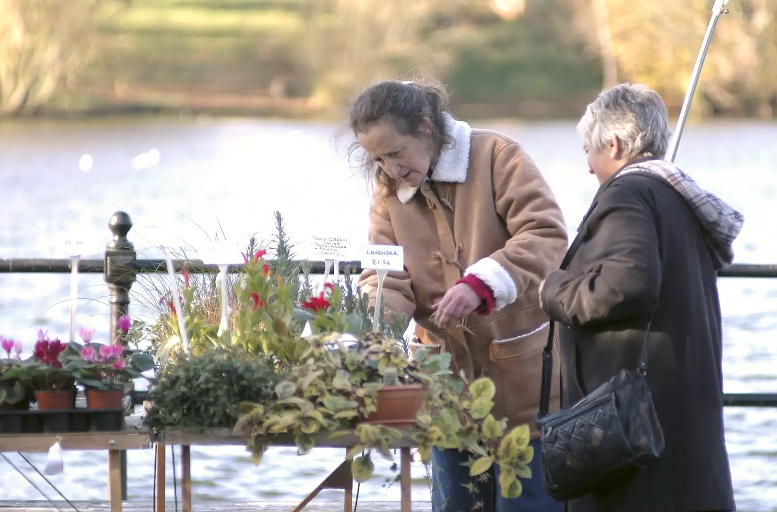 A WI plant stall by the Mere, from The BBs Rehearse and the WI Market, Diss, Norfolk - 9th November 2004