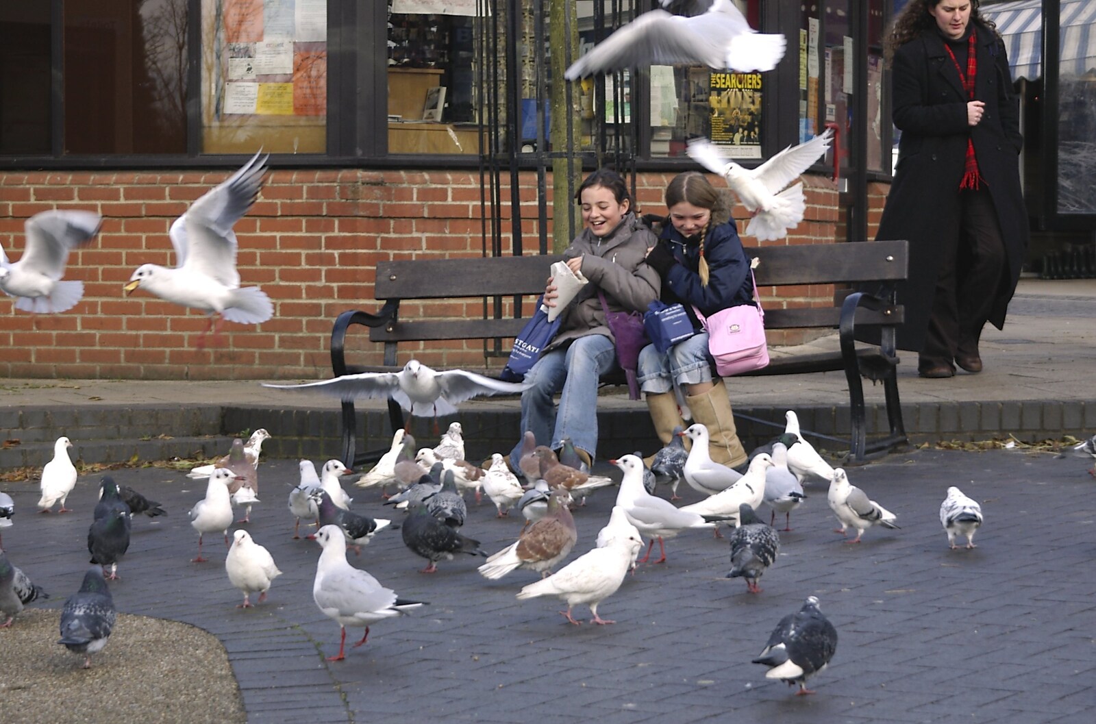Chip-eating girls are mobbed by birds from Random Scenes of Diss, Norfolk - 20th November 2004
