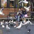 Chip-eating girls are mobbed by birds, Random Scenes of Diss, Norfolk - 20th November 2004