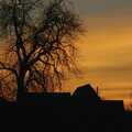 Winter trees in a rich sunset, Christmas Lights and St. Mary's Church, Diss, Norfolk - 29th November 2004