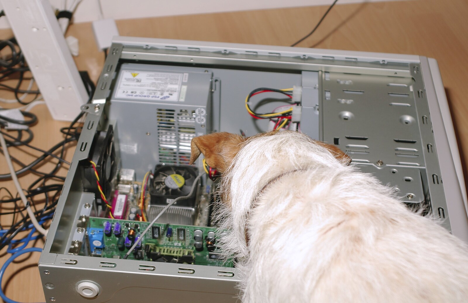 One of the dogs sniffs in an open computer case from The BBs do Bressingham and a Night in Elsworth, Norfolk and Cambridge - 17th December 2004