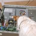 One of the dogs sniffs in an open computer case, The BBs do Bressingham and a Night in Elsworth, Norfolk and Cambridge - 17th December 2004