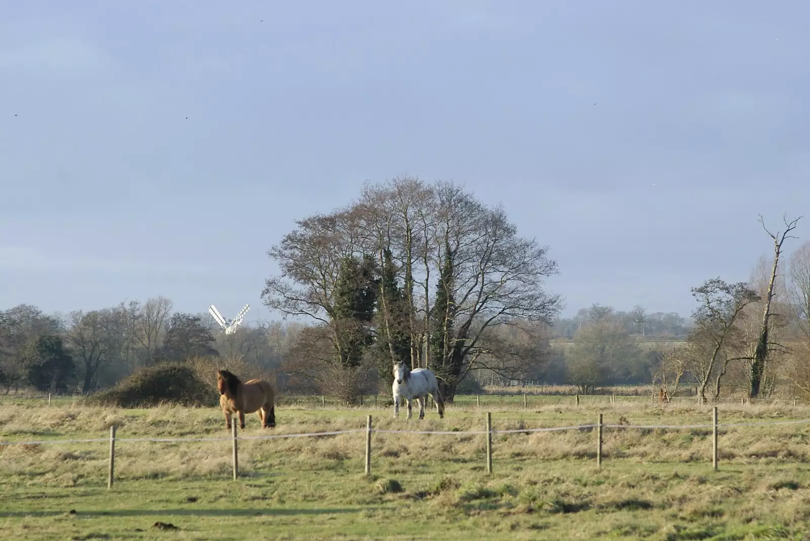 A view of Billingford Windmill, in the distance, from Boxing Day Rambles, Hoxne and Oakley, Suffolk - 26th December 2004