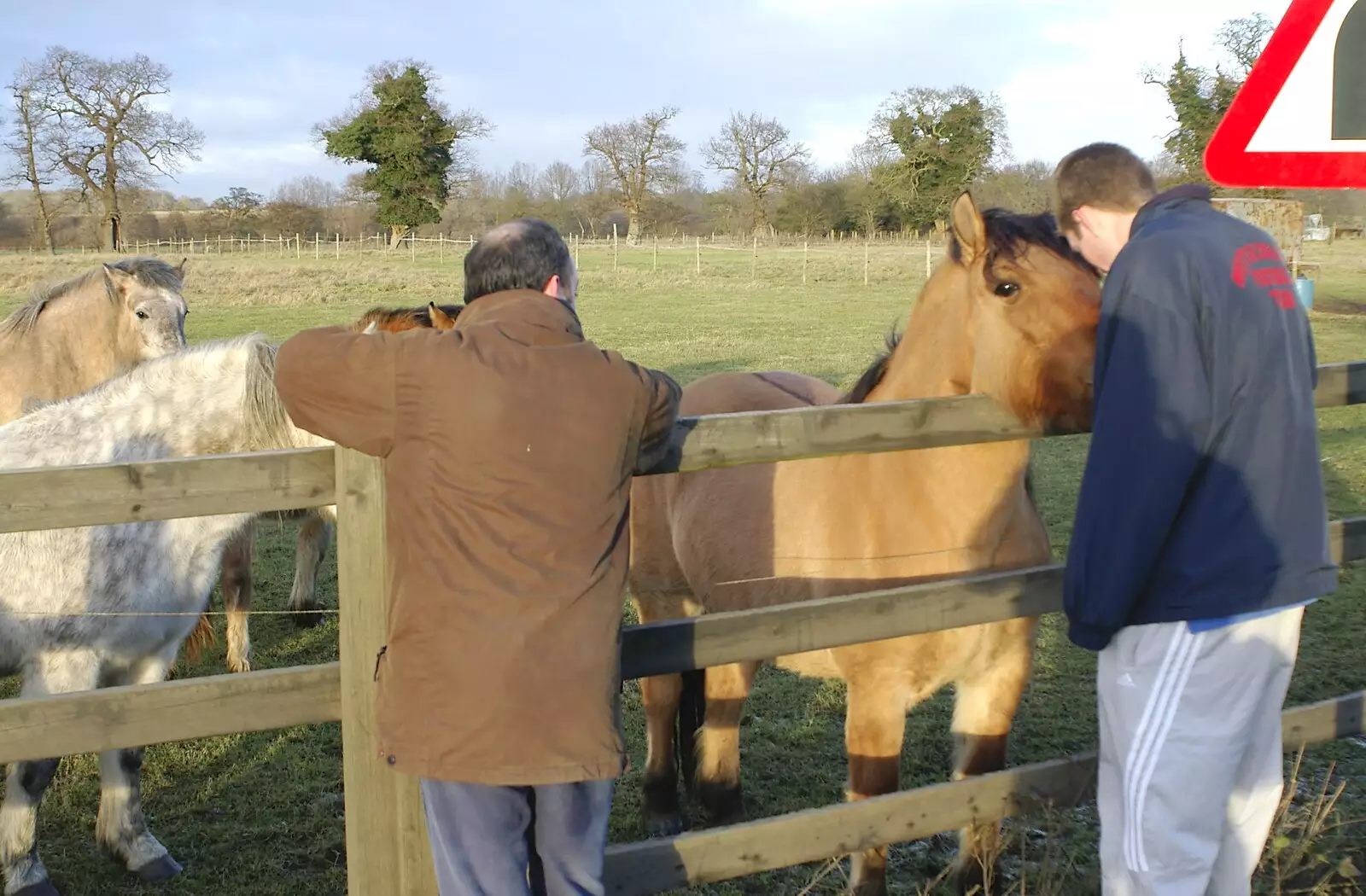 DH and The Boy Phil with ponies, from Boxing Day Rambles, Hoxne and Oakley, Suffolk - 26th December 2004