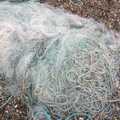 A tangle of discarded net, A Day with Sis, Matt and the Old Man, Saxmundham, Suffolk - 28th December 2004
