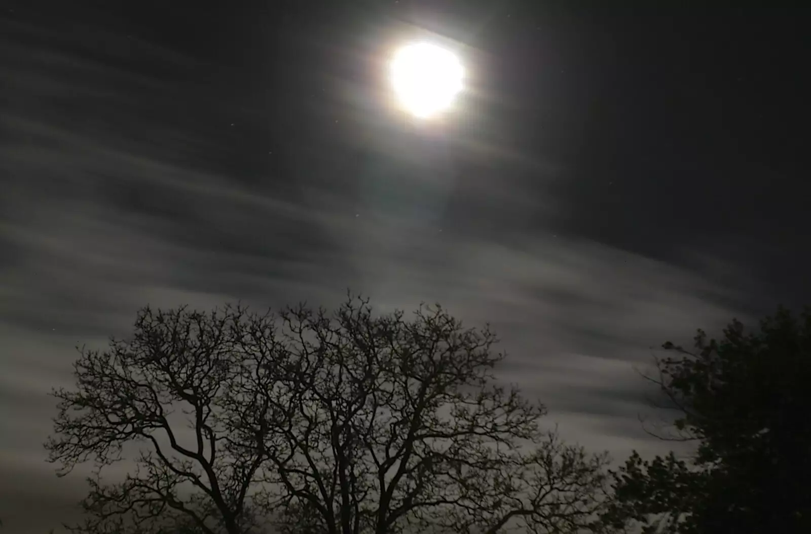 The moon over the walnut tree, from Sausages at the Swan Inn, and Revs Gets Decorated, Diss and Brome - 7th January 2005