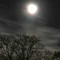 2005 The moon over the walnut tree