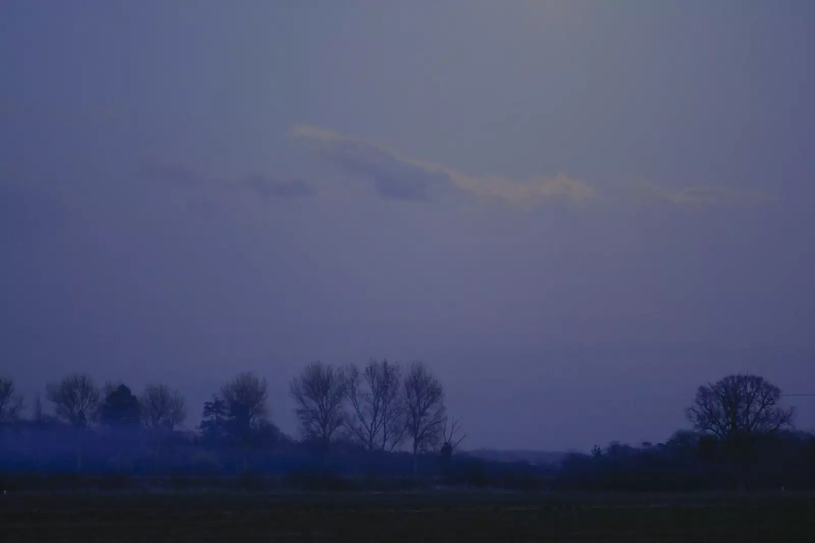 The back field under moonlight, from Sausages at the Swan Inn, and Revs Gets Decorated, Diss and Brome - 7th January 2005