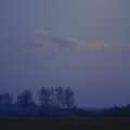 2005 The back field under moonlight