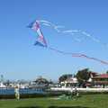 2005 A kite flyer in Marina Park