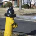 2005 A yellow fire hydrant, up Metcalf Avenue