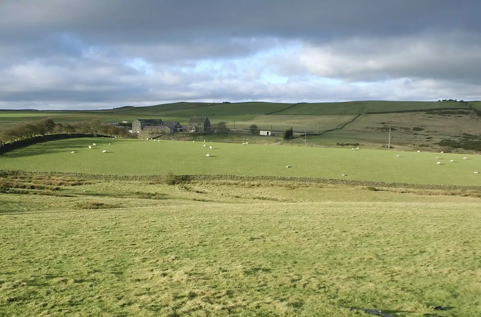 A farmhouse, and a field dotted with sheep, from The Old Man's 70th Birthday, Pontefract, West Yorkshire - 29th January 2005