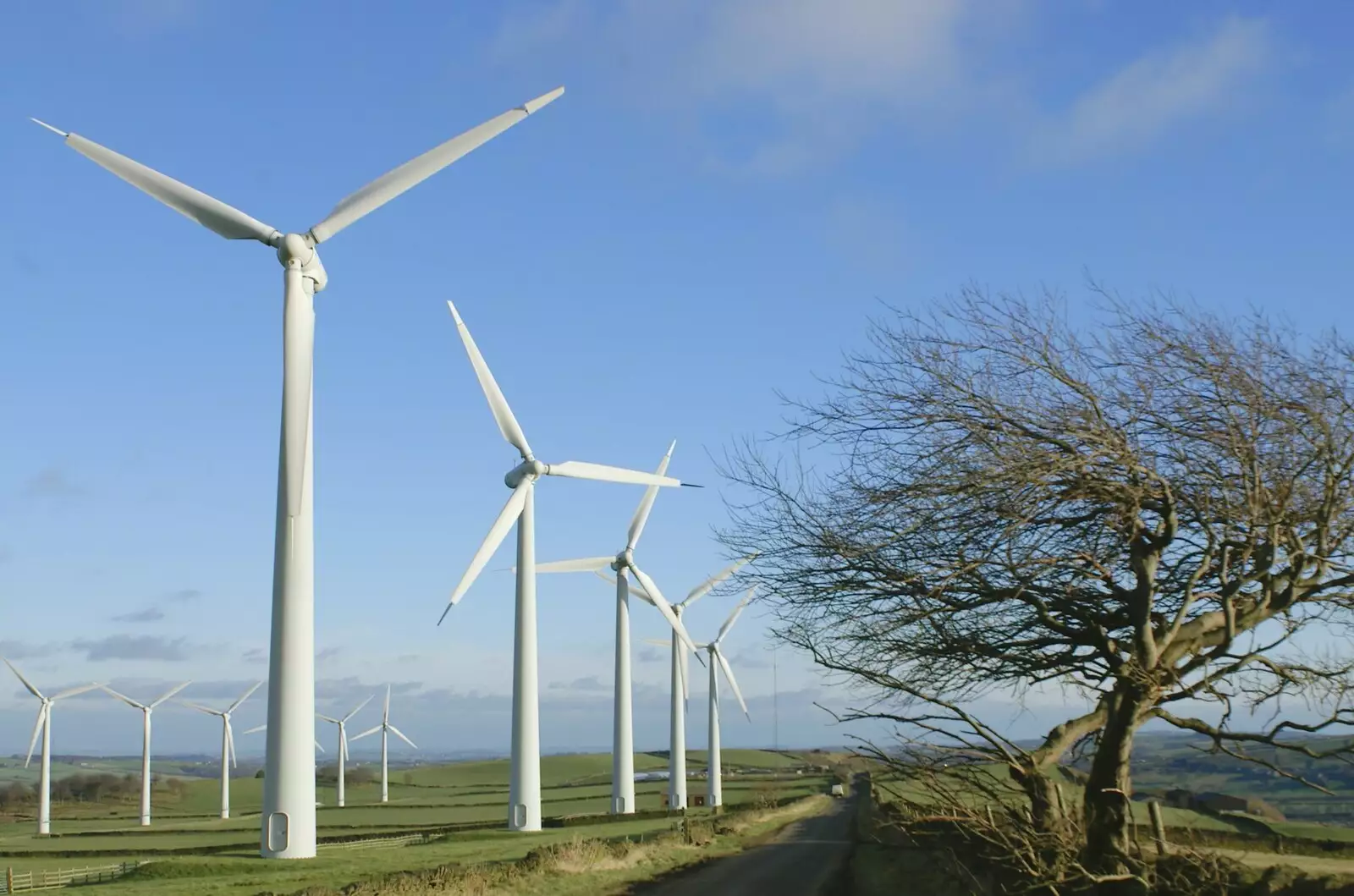 A wind farm and a windswept tree, from The Old Man's 70th Birthday, Pontefract, West Yorkshire - 29th January 2005