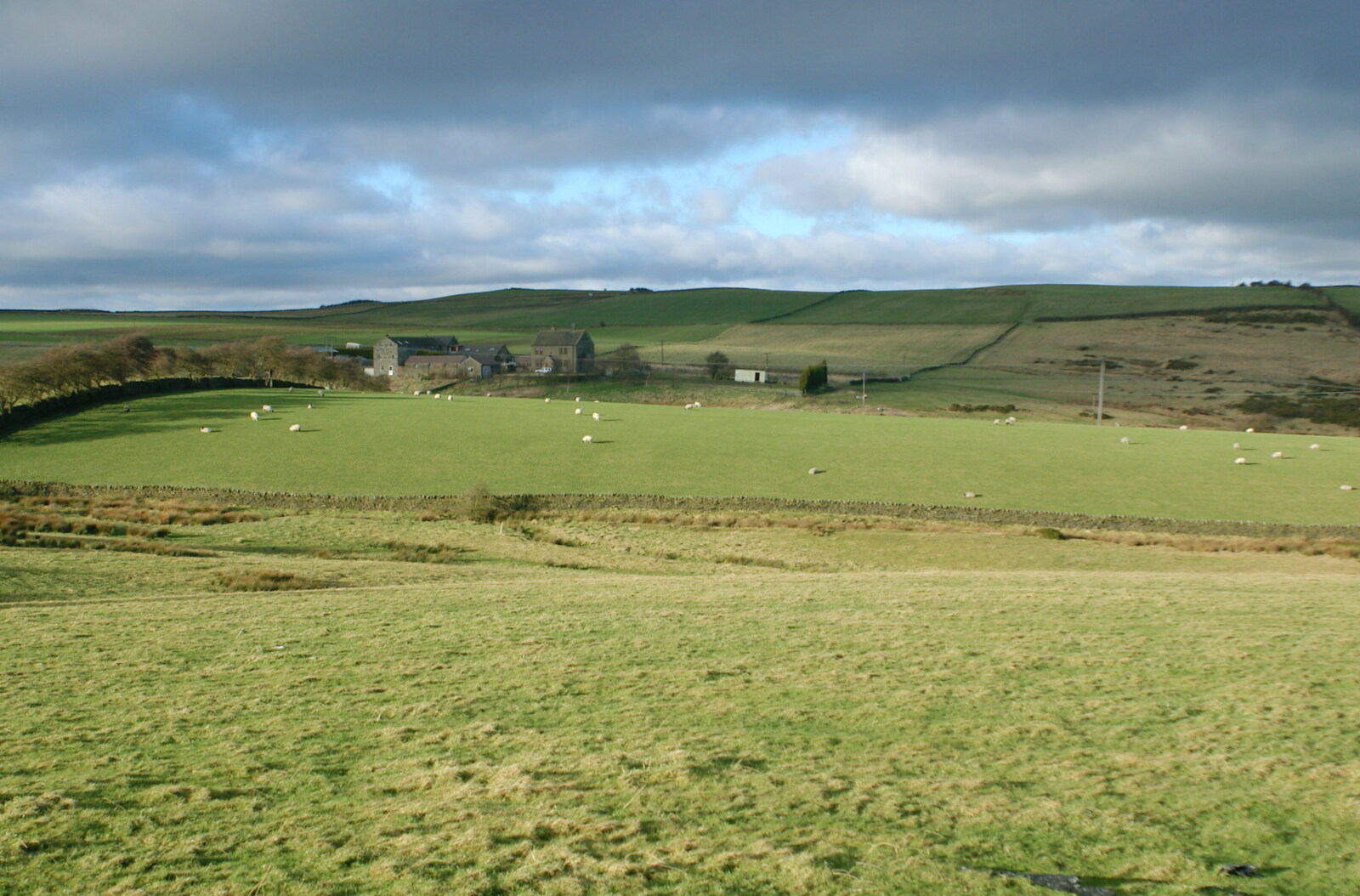 Driving Around Oop North, Hoylandswain, West Yorkshire - 30th January 2005: A farmhouse, and a field dotted with sheep
