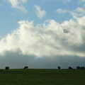 Sheep on a field, Driving Around Oop North, Hoylandswain, West Yorkshire - 30th January 2005
