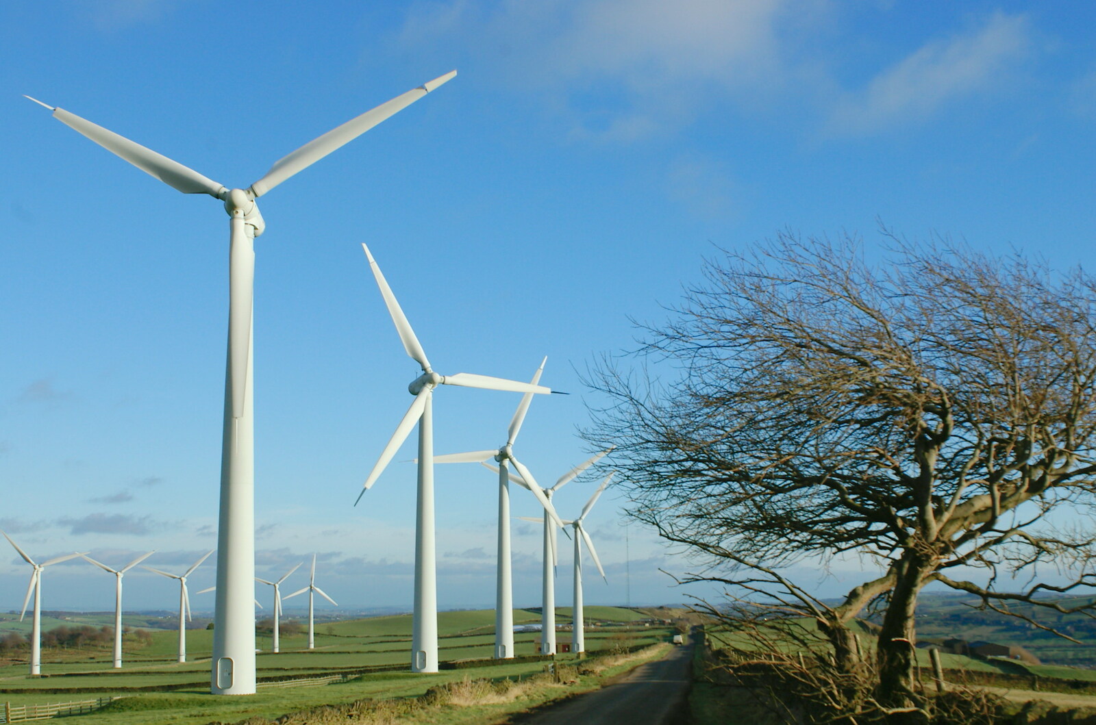 Driving Around Oop North, Hoylandswain, West Yorkshire - 30th January 2005: Wind farm and a windswept tree