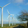Wind farm and a windswept tree, Driving Around Oop North, Hoylandswain, West Yorkshire - 30th January 2005