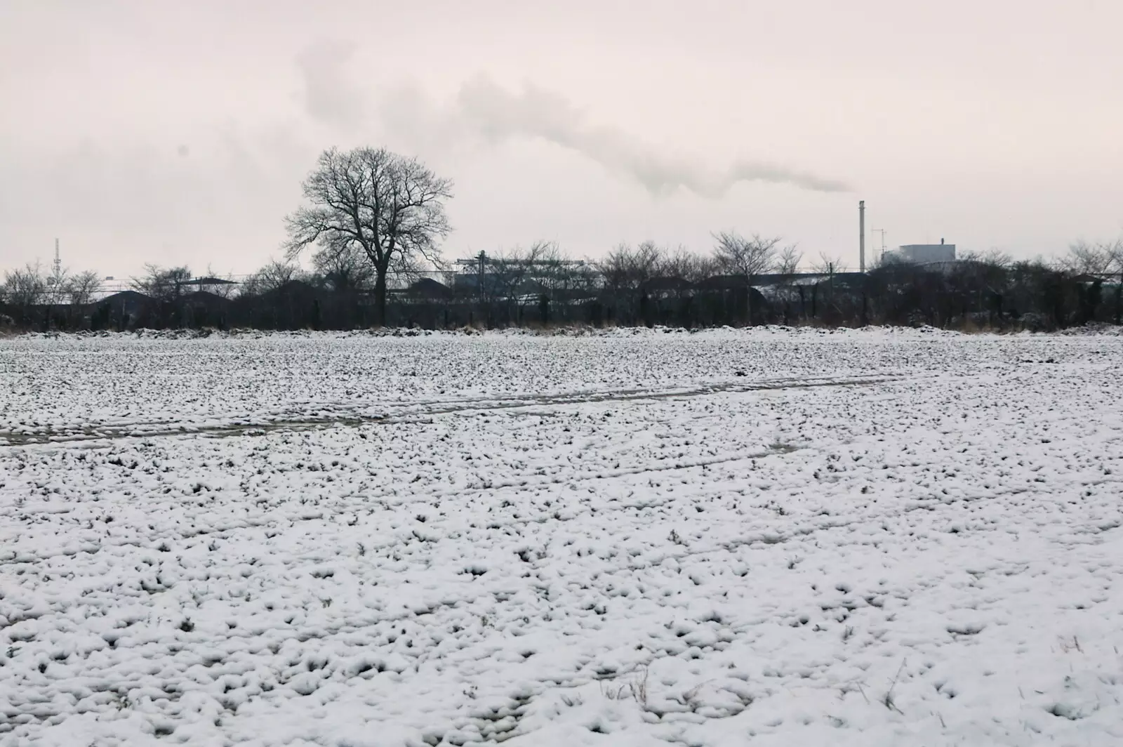 The back field and the chicken-shit power station, from Fiddler on the Roof and a Railway Inn Quiz, Gislingham and Mellis, Suffolk - 17th February 2005