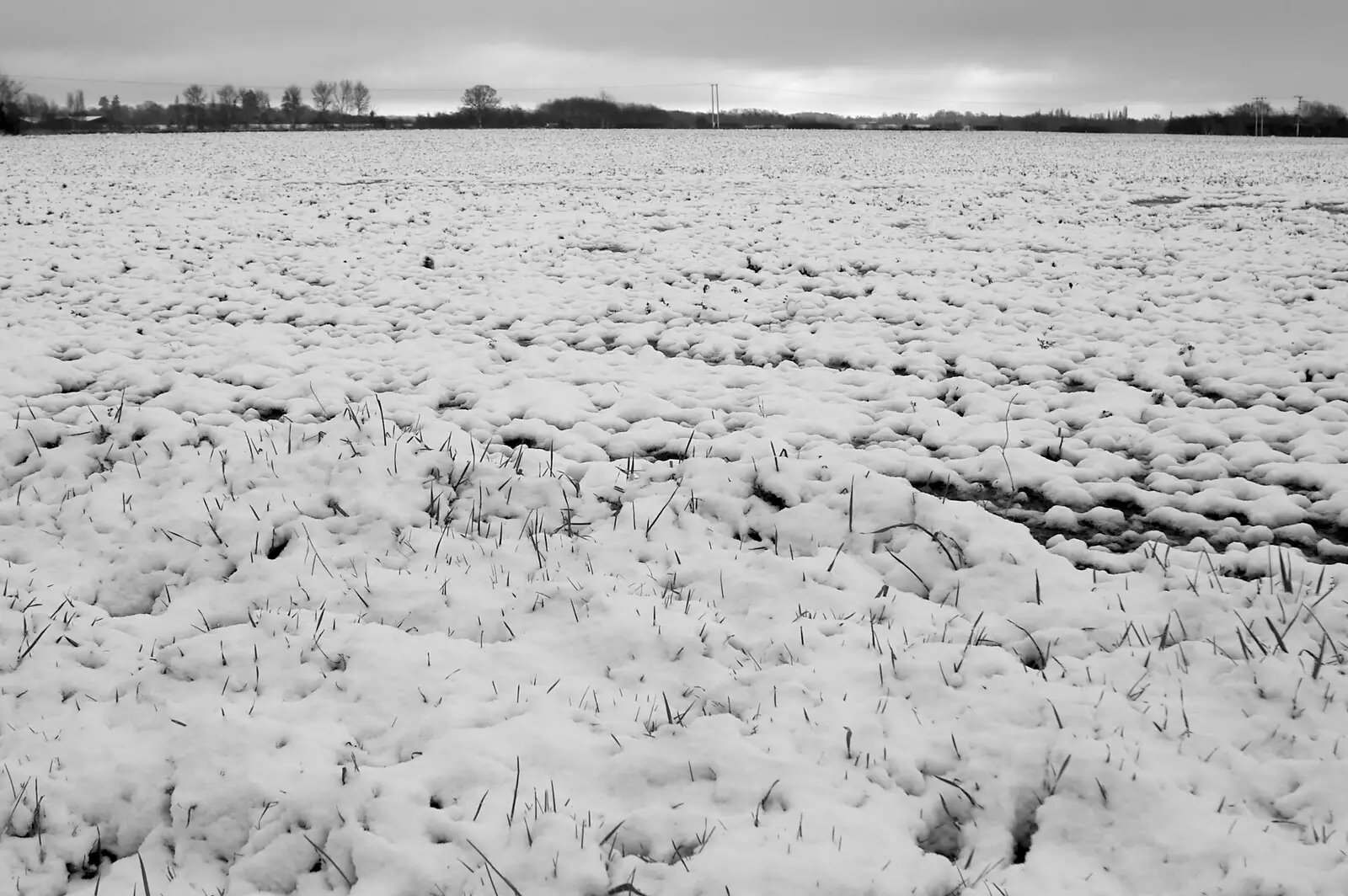 More snow on the back field, from Fiddler on the Roof and a Railway Inn Quiz, Gislingham and Mellis, Suffolk - 17th February 2005