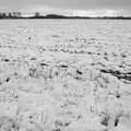 More snow on the back field, Fiddler on the Roof and a Railway Inn Quiz, Gislingham and Mellis, Suffolk - 17th February 2005