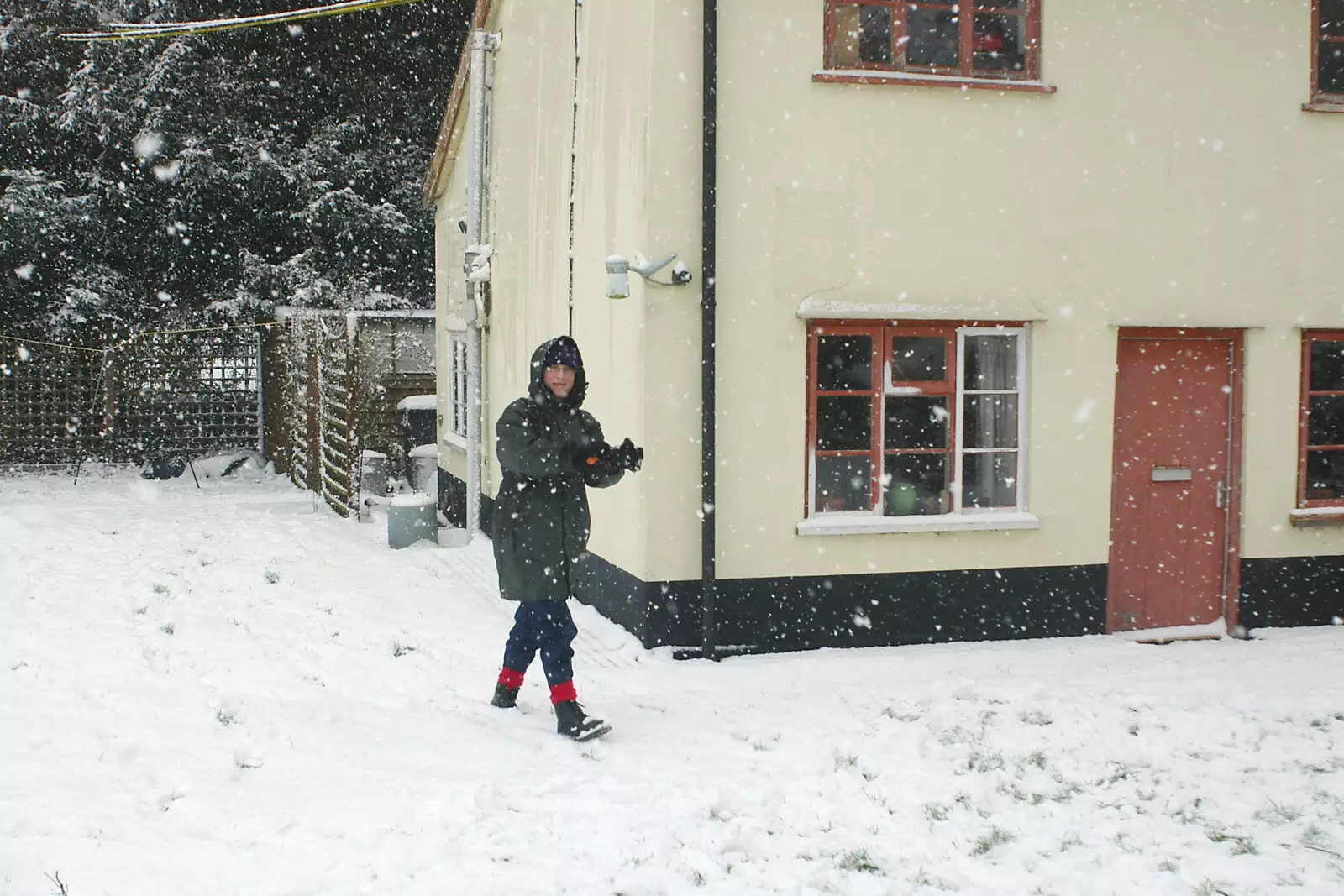 Suey roams around on a snow day, from Wendy Leaves "The Lab" and a Snow Day, Cambridge and Brome - 25th February 2005