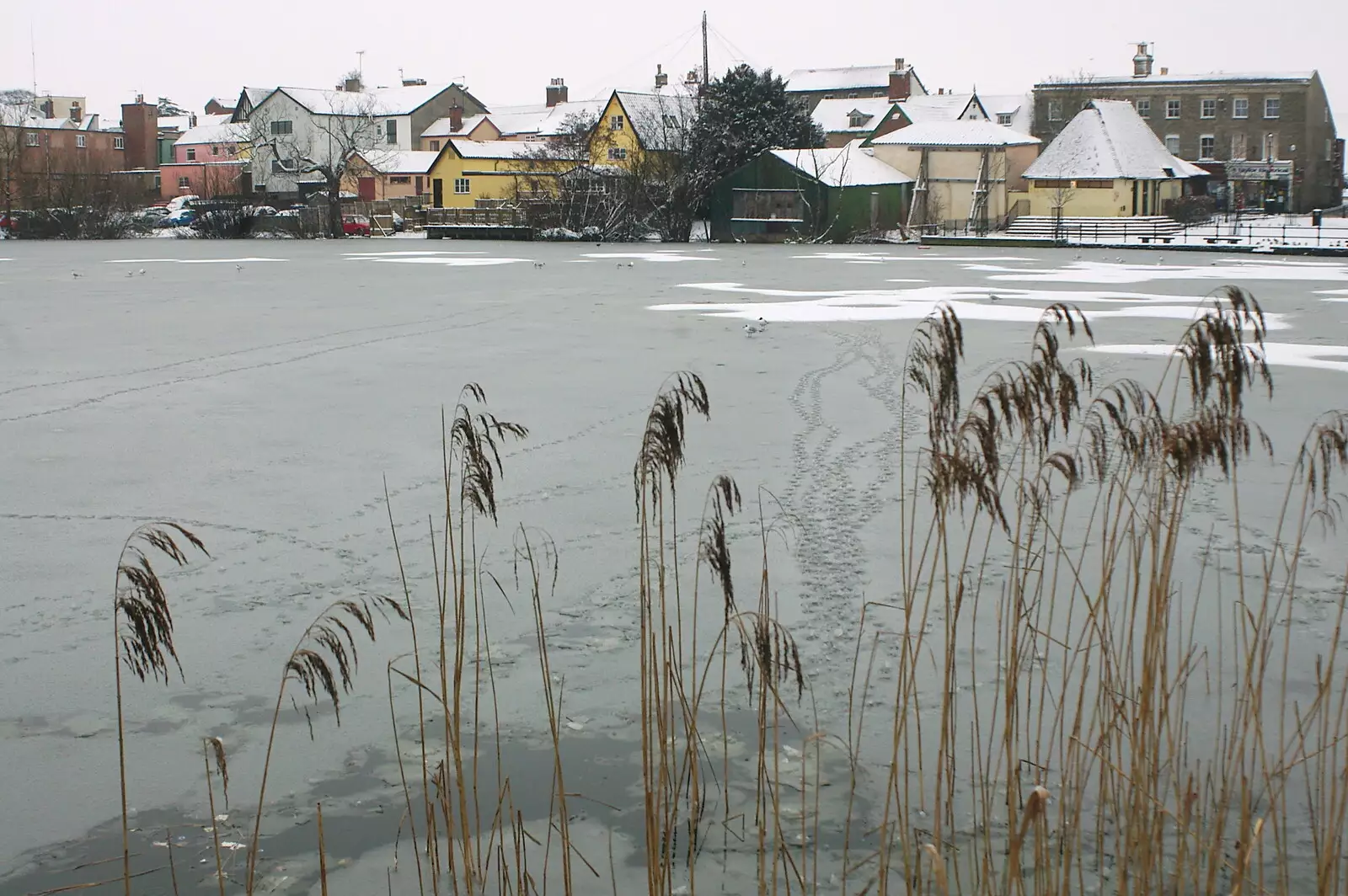 Part of the Mere is almost completely frozen over, from Wendy Leaves "The Lab" and a Snow Day, Cambridge and Brome - 25th February 2005