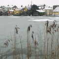 Part of the Mere is almost completely frozen over, Wendy Leaves "The Lab" and a Snow Day, Cambridge and Brome - 25th February 2005