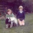 Birtle's Close garden with Bob, the spaniel