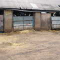 The cows are raring to go, Wavy and the Milking Room, Dairy Farm, Thrandeston, Suffolk - 28th March 2005