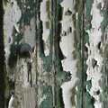 The door of an adjacent shed, An Elegy for a Shed, Hopton, Suffolk - 28th March 2005
