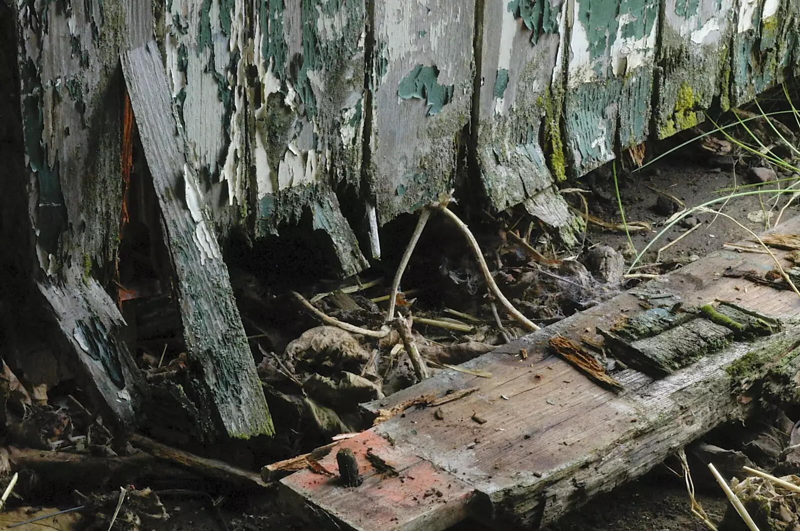 A rotting door with peeling paint, from An Elegy for a Shed, Hopton, Suffolk - 28th March 2005