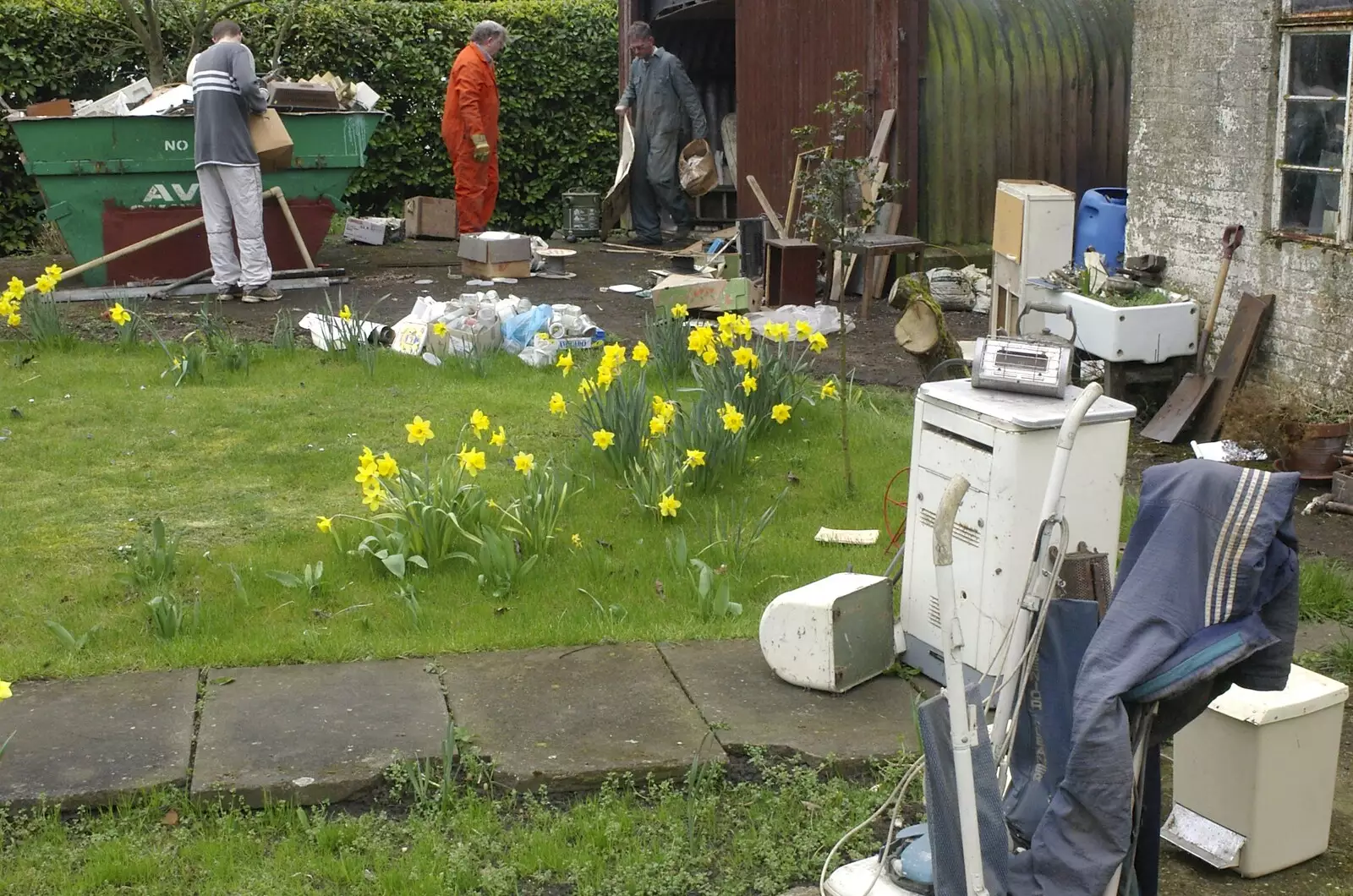 Daffodils bloom amongst the detritus of a life, from An Elegy for a Shed, Hopton, Suffolk - 28th March 2005