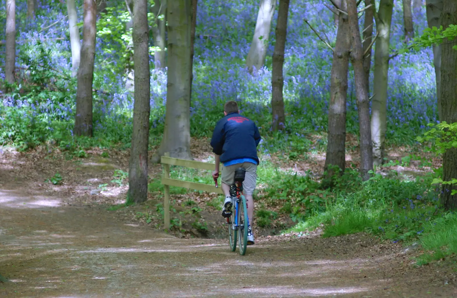 The Boy Phil rides through a bluebell wood, from The BSCC Weekend Trip to Rutland Water, Empingham, Rutland - 14th May 2005