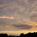 A nice sunset over the side field, BSCC Bike Rides and Fun With Diffraction Gratings, Gissing and Diss - 26th May 2005