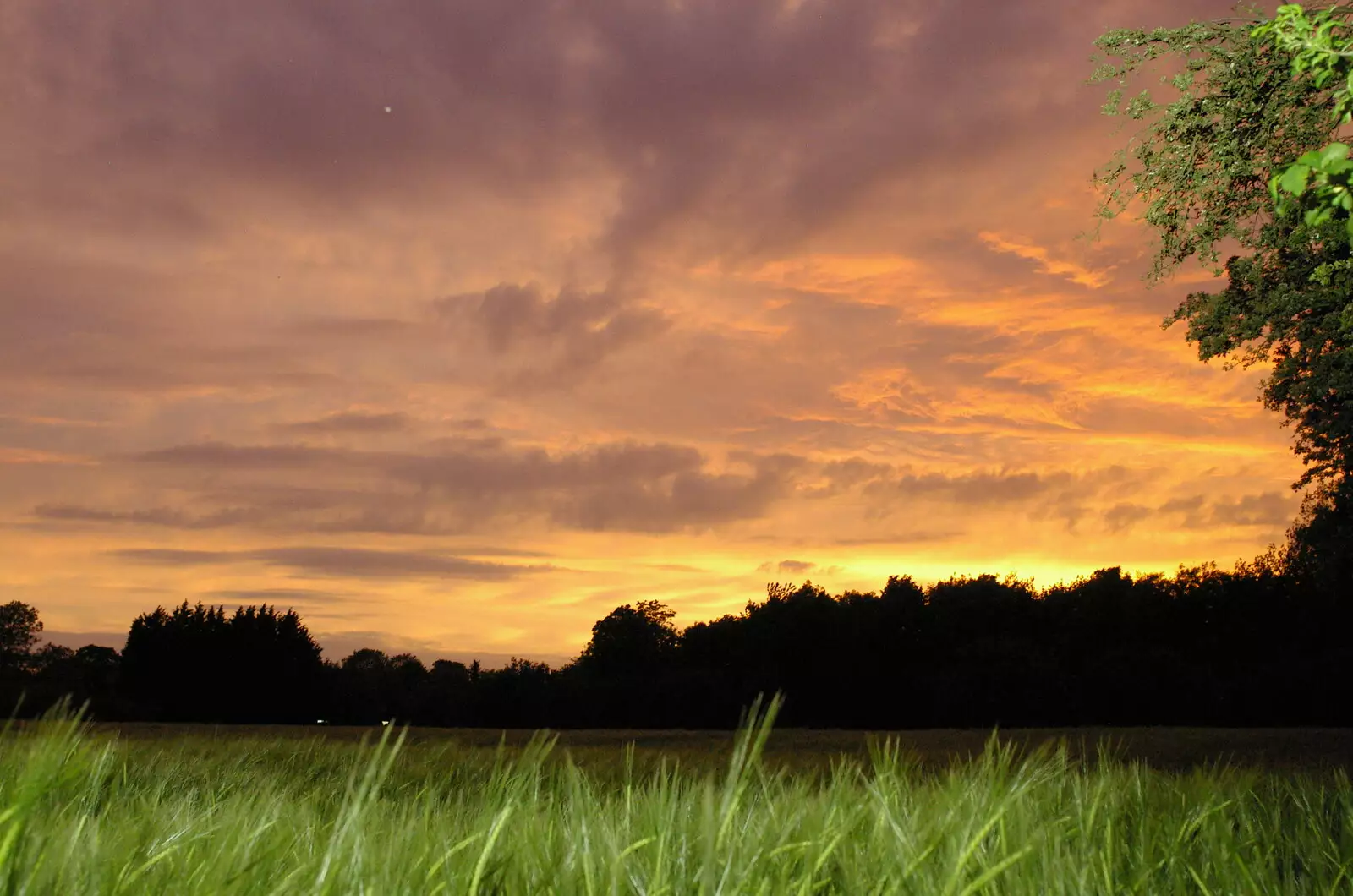 The sky turns burning gold, from BSCC Bike Rides and Fun With Diffraction Gratings, Gissing and Diss - 26th May 2005