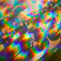 BSCC Bike Rides and Fun With Diffraction Gratings, Gissing and Diss - 26th May 2005, A bit of hedge, diffracted