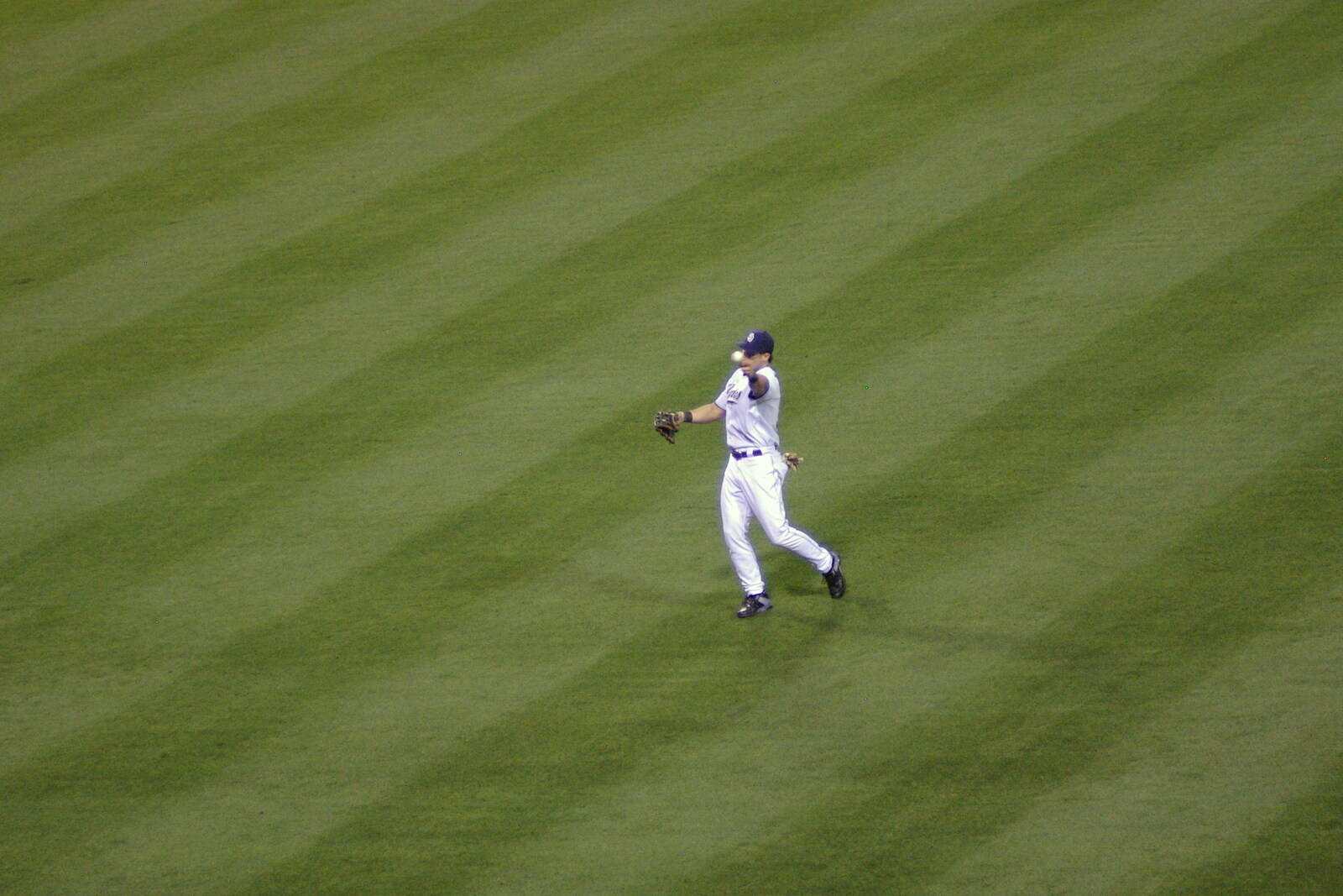 A catch occurs from The Padres at Petco Park: a Baseball Game, San Diego, California - 31st May 2005