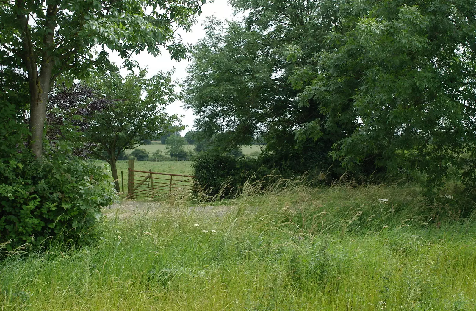 A bucolic gate scene, from A Combine Harvester and the Pig Roast, Thrandeston, Suffolk - 26th June 2005