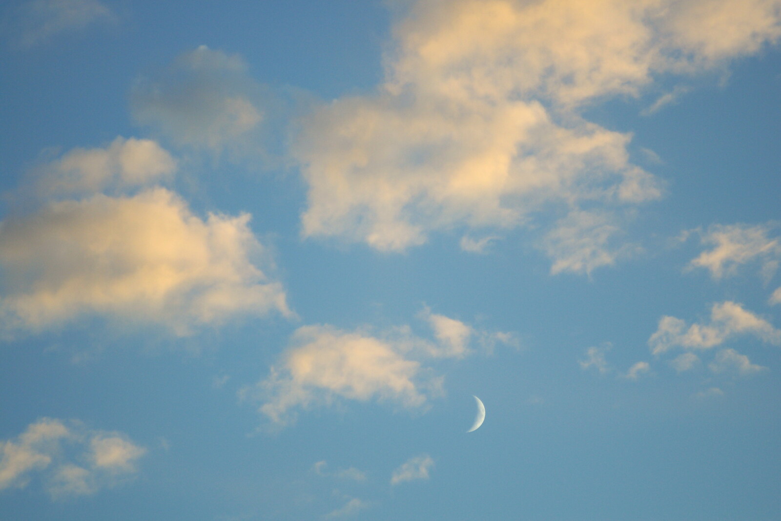 A sliver of moon from Steve Ives' Leaving Lunch, Science Park, Cambridge - 11th July 2005