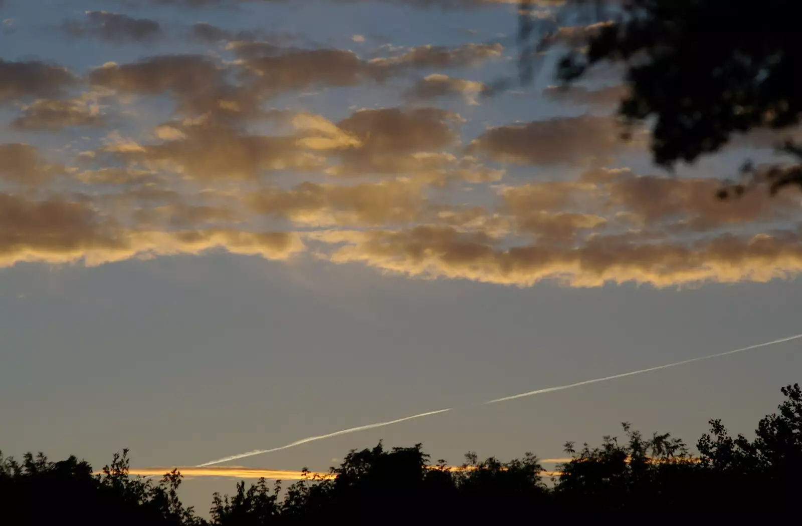 Contrails in the sunset, from Steve Ives' Leaving Lunch, Science Park, Cambridge - 11th July 2005