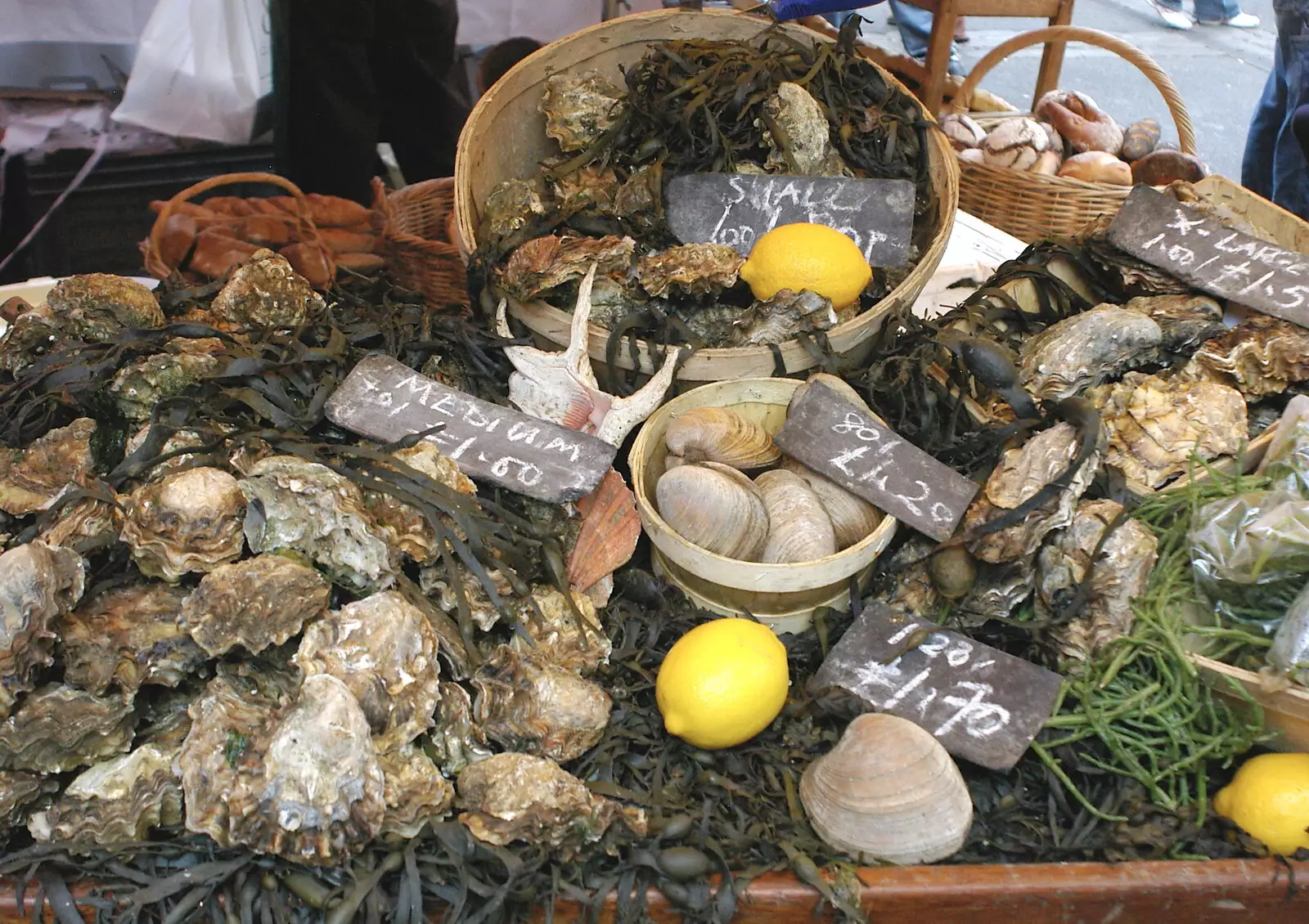 Some oysters, from Borough Market and North Clapham Tapas, London - 23rd July 2005