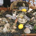 Some oysters, Borough Market and North Clapham Tapas, London - 23rd July 2005