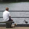 A sausage-dog and a duck, The BBS, and the Big Skies of East Anglia, Diss and Hunston, Norfolk and Suffolk - 6th August 2005