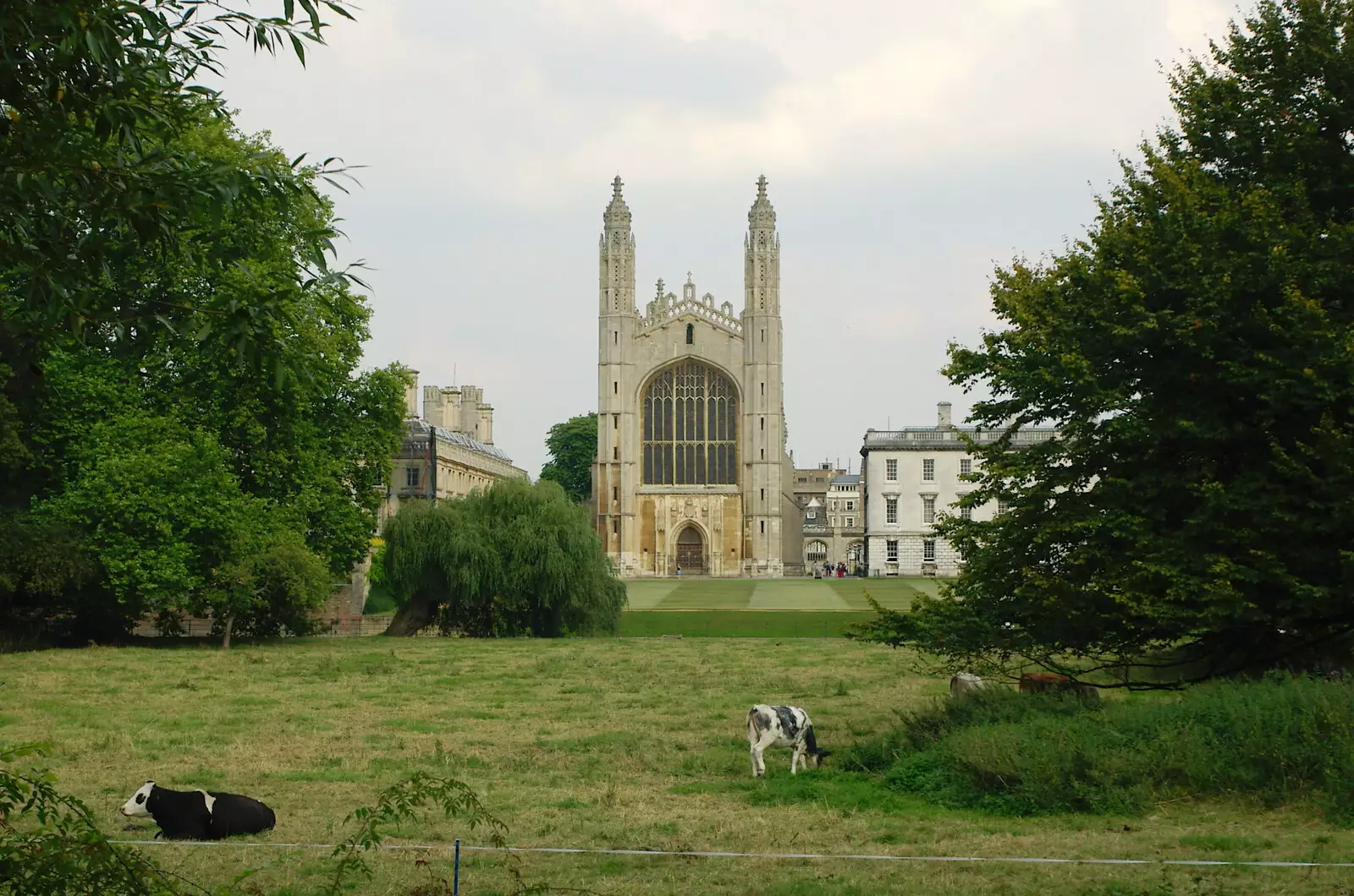 Cows and King's Chapel, from Qualcomm goes Punting on the Cam, Grantchester Meadows, Cambridge - 18th August 2005