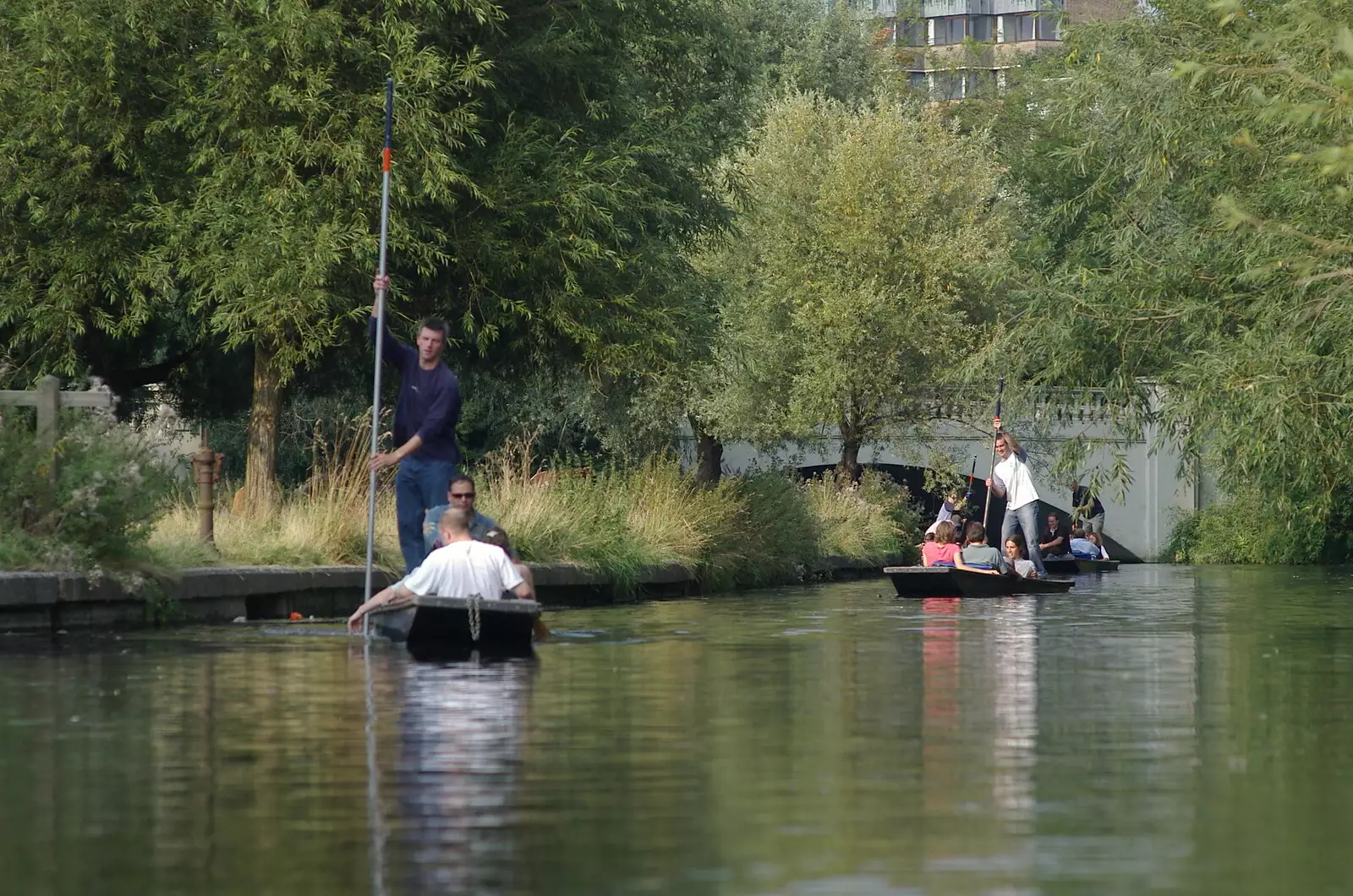 The rest of the pack close in, from Qualcomm goes Punting on the Cam, Grantchester Meadows, Cambridge - 18th August 2005