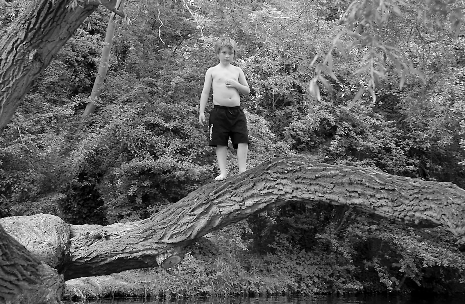 A strange feral boy waits in a tree, from Qualcomm goes Punting on the Cam, Grantchester Meadows, Cambridge - 18th August 2005