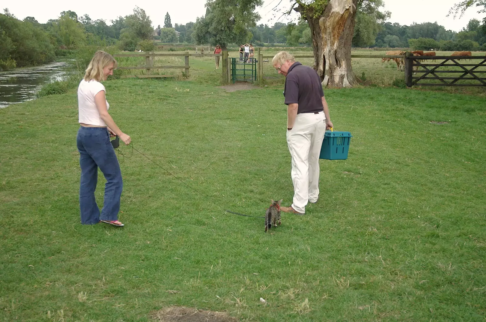 Someone takes their cat for a walk, from Qualcomm goes Punting on the Cam, Grantchester Meadows, Cambridge - 18th August 2005